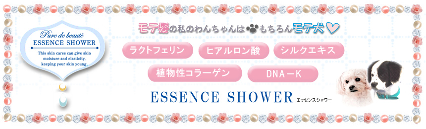 ������������񃂃e��