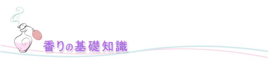 �����̊�b�m��