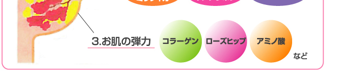 ���eBODY�ȃo�X�g�̕K�p�v�f